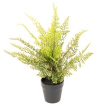 Product Artificial Fern Plant in Pot for Indoor Decoration, 40cm
