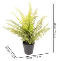 Product Artificial Fern Plant in Pot for Indoor Decoration, 40cm