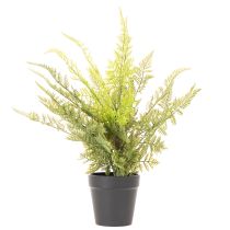 Product Artificial Fern Plant in Pot for Indoor Decoration, 40cm