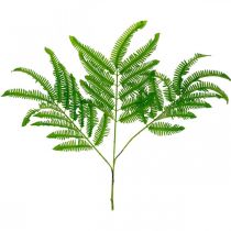 Product Fern Leaves Green, Fern 3 Leaves on Branch, Milkweed L96cm
