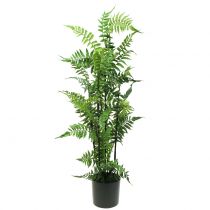 Tree fern in pot green 80cm