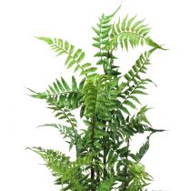 Tree fern in pot green 80cm