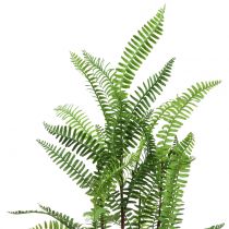 Product Fern in pot green 80cm