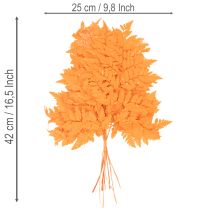 Product Dried Preserved Fern Branch Orange 42cm Set of 10 for Floristry and Autumn Decoration