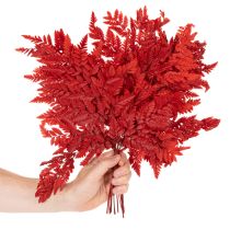 Product Preserved Red Fern Stems 42cm Pack of 10 for Autumn Decorations
