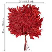 Product Preserved Red Fern Stems 42cm Pack of 10 for Autumn Decorations