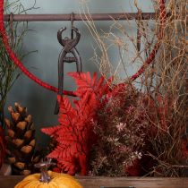 Product Preserved Red Fern Stems 42cm Pack of 10 for Autumn Decorations