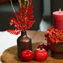 Product Preserved Red Fern Stems 42cm Pack of 10 for Autumn Decorations