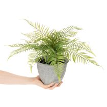 Product Kunststoff Fern in Plant Pot 35cm for Indoor Decoration