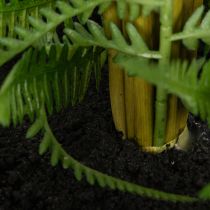 Product Kunststoff Fern in Plant Pot 35cm for Indoor Decoration