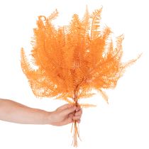 Product Preserved Orange Fern Stems 60cm for Indoor Arrangements – Set of 10