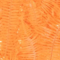 Product Preserved Orange Fern Stems 60cm for Indoor Arrangements – Set of 10