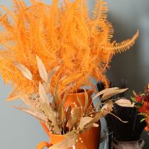 Product Preserved Orange Fern Stems 60cm for Indoor Arrangements – Set of 10