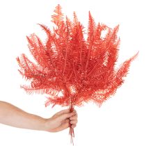 Product Preserved Fern Bundle Red 60cm 10 Stems for Indoor Decoration