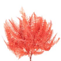 Product Preserved Fern Bundle Red 60cm 10 Stems for Indoor Decoration
