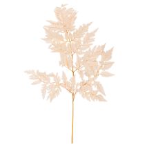 Product Dried Fern Stems for Vase Decoration 42cm Pink 10 Pieces