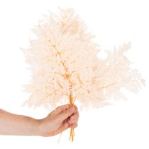 Product Dried Fern Stems for Vase Decoration 42cm Pink 10 Pieces
