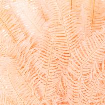 Product Dried Fern Stems 60cm Set of 10 in Light Pink for Home Decoration