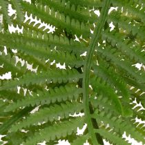 Product Kunststoff Fern Stem Decorative Green Plant for Indoor Arrangements 80cm