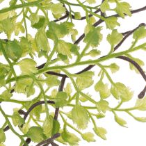 Product Artificial Ruscus Spray Green 41cm for Home and Floral Decorations