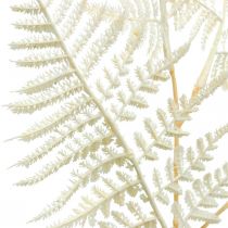 Product Decorative leaf fern, artificial plant, fern branch, decorative fern leaf white L59cm