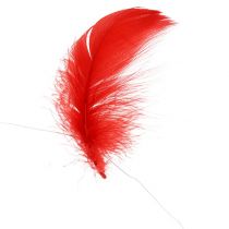 Feathers on wire Red 10m
