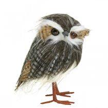 Owl to decorate, autumn, decorative bird, forest decoration H21cm