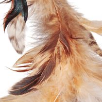 Product Feather wreath in light brown decorative wreath feathers Ø20cm 3 pcs