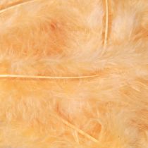 Product Feathers Orange for Crafting Spring Easter 5-10cm 20g