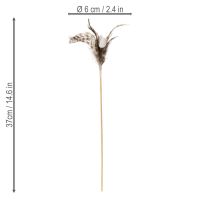 Product Feather branch decorative stakes with natural feathers, Easter decoration for elegant arrangements, 37cm, 12 pieces