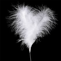 Product Feathers on Wire L27cm White 6 pcs
