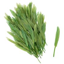 Product Decorative feathers for a stylish ambiance and impressive decorations 10cm