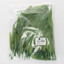 Product Decorative feathers for a stylish ambiance and impressive decorations 10cm