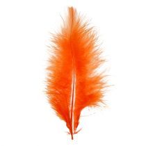 Product Feathers short 30g Orange