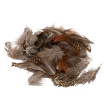 Product Feathers for versatile craft ideas, creative design and decoration ideas, 5cm, 3g