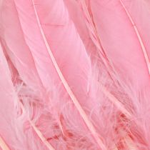 Product Feathers for crafting Pink goose feathers 18cm – 20cm 20g x 2pcs