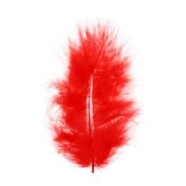 Product Feathers short 30g red