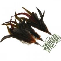 Product Colorful feathers decoration on wire spring spring decoration H35cm 3pcs