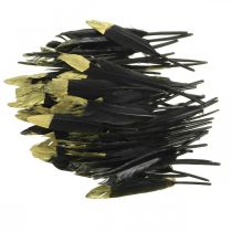 Product Decorative feathers black, gold real feathers for crafting 12-14cm 72 pcs