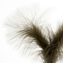 Feathers on sticks Brown 30cm 12pcs