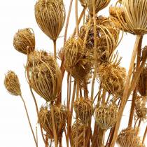 Product Dried flowers fennel nature 100g