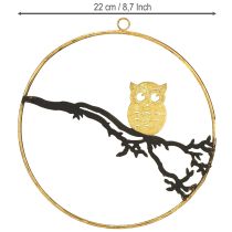 Product Window decoration owl on branch autumn, decorative ring metal 22cm