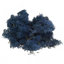 Deco moss blue dry moss for handicrafts colored 500g