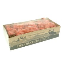 Product Decorative moss Icelandic moss pink 400g