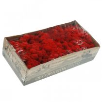 Product Deco moss red reindeer moss for handicrafts 400g