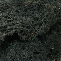 Deco moss black preserved reindeer moss for handicrafts 400g