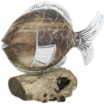 Product Decorative fish wooden stand on root Maritime decoration 27cm
