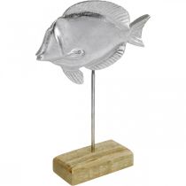 Fish to place, maritime decoration, decorative fish made of metal silver, natural colors H23cm