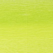 Product Florist crepe paper May green 50x250cm