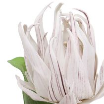 Foam Blossom White, Purple 12cm L30cm 1pc